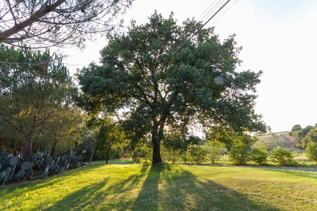 Agriturismo Cupido Montiano  Zewnętrze zdjęcie
